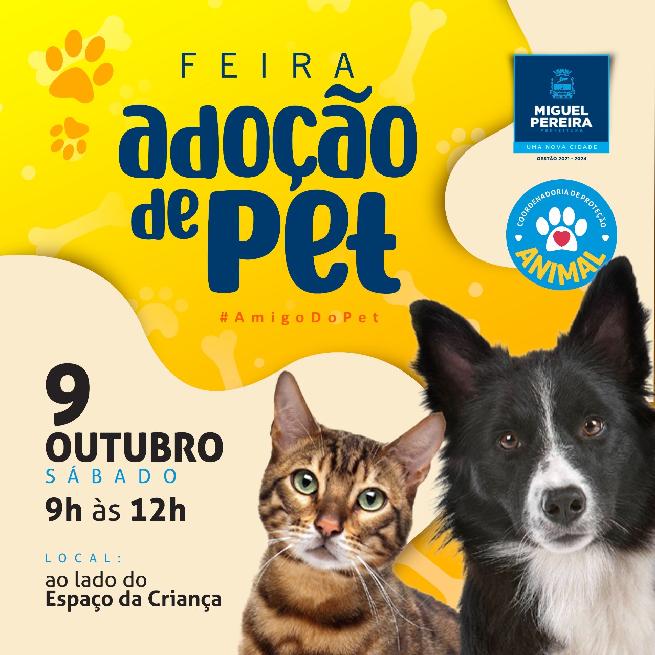 Prefeitura realiza Feira de Adoção PET